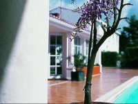 Le Manoir de lAntiquite 