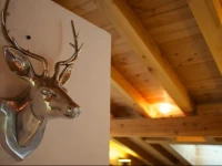 Chalet Maya 