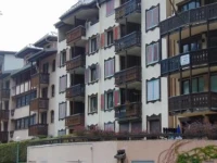 Chamonix Sud Jonquille 
