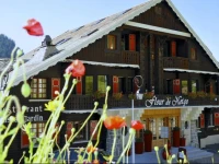 Fleur De Neige 