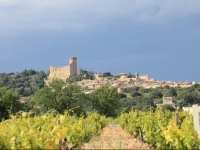 Camping Lart de Vivre 