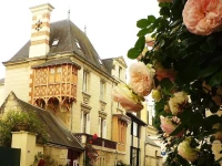 Chinon La Belle 