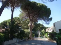 Jardins De La Mer 