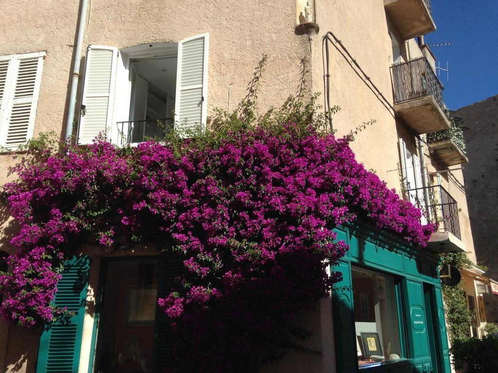 Duplex Citadelle 