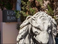 Lion Blanc 