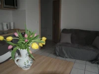 Appartement Saint-Jorioz 