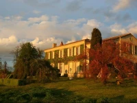 Les Belles Perdrix de Troplong Mondot 