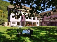Logis Hotel Des Vosges 