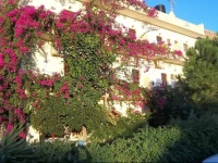 Knossos Hotel 