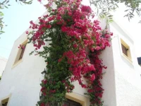 Eleftheria Studios 