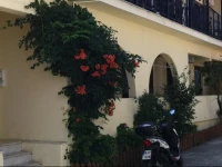 Elenis House 