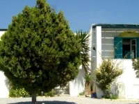 Apollonia Studios 