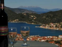 Calypso Apartments 