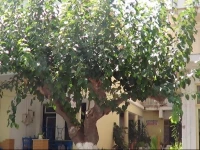 Mouroukis Rooms 