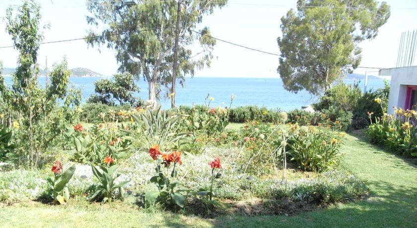 Nefi Guesthouse 