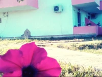 Vigla House 