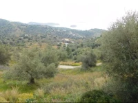 Pyrgos Aiandioy 