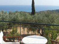 Apsedes Studios 
