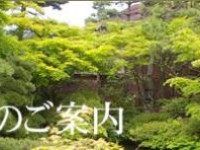 Century Ikaya
