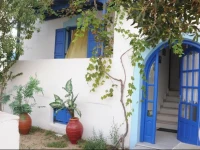 Vitzileos Studios 