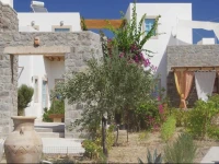 Villa Patmos Netia 