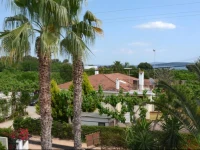 Villa the Rose 