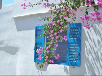 Purple Flower Villa