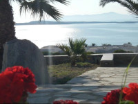 Playera Bungalow