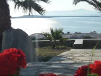 Playera Bungalow 
