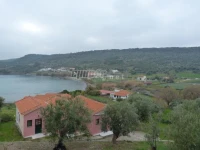 Ta Skina Studios 