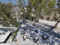 Hotel Eucalyptus