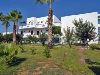Apellis 2*