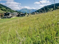 LOurs Blanc Chalet and Spa 3*