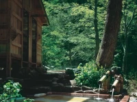 Bankyu Hotel 5*