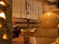 Kinugawa Plaza Hotel 1*