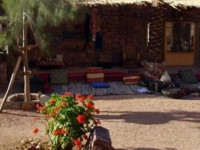 Desert Fox Camp St Catherine