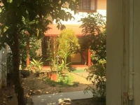 Mickey Homestay 