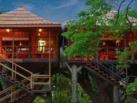 Rangerwood Machan Jungle Tree House 