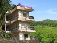 Jungle Palace Homestay 