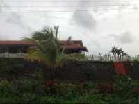 Pai Farms 