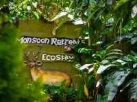 Monsoon Retreats 