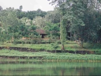 Periyar River Lodge 