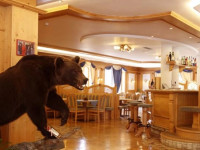 Chalet All Imperatore