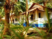 Ashvem Beach 