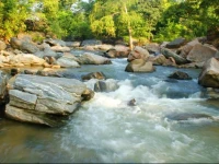 Nakshatra Jungle Resort 