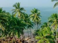 Costa Tina Huts 2*