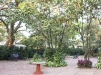 Hotel Shree Paradise 
