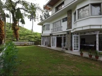 Sourenee Tea Estate 