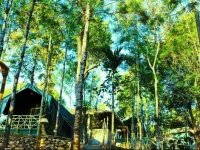 Season7 The Nature Resort 
