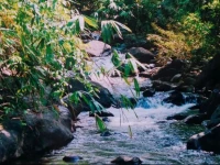 Illam Estates 